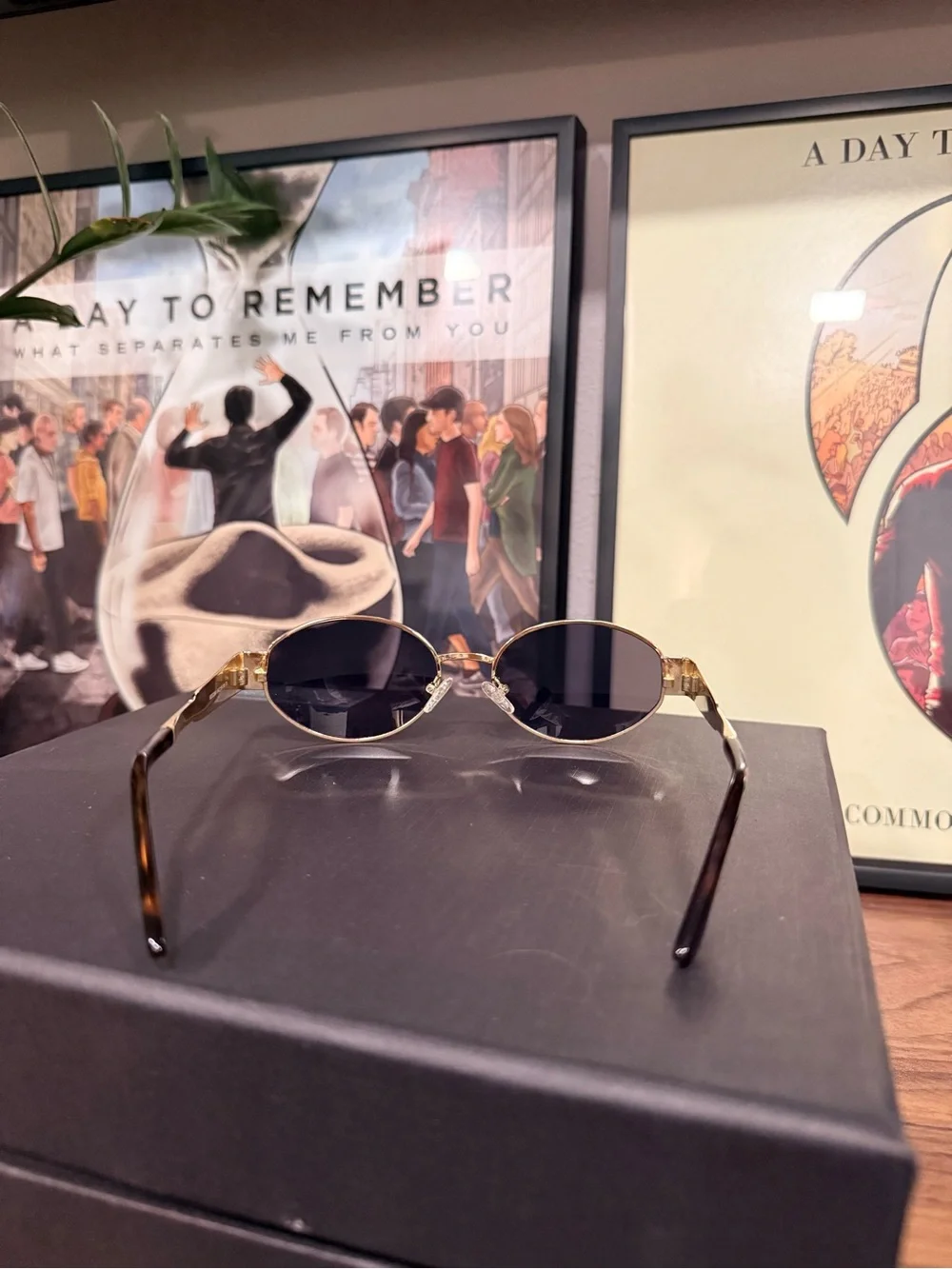 Source Unknown Gold Frame Black Lens Oval Sunglasses